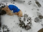 DSCN2307.jpg
