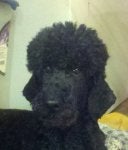 Jetta age 10.jpg