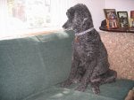 2010-4-14.jpg