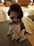 20201029_182735.jpg