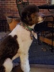 20201029_182853.jpg