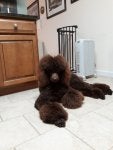 Brown Cabinetry Drawer Wood Toy