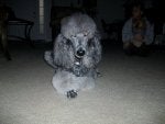 Suri love 019.jpg