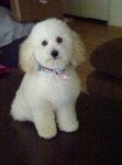 Burbank-20130727-00718.jpg