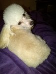 Burbank-20130817-00767.jpg